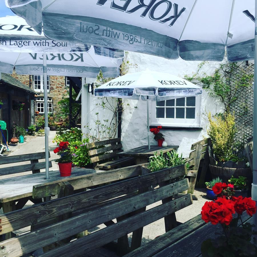 The Tree Inn Bude Zewnętrze zdjęcie
