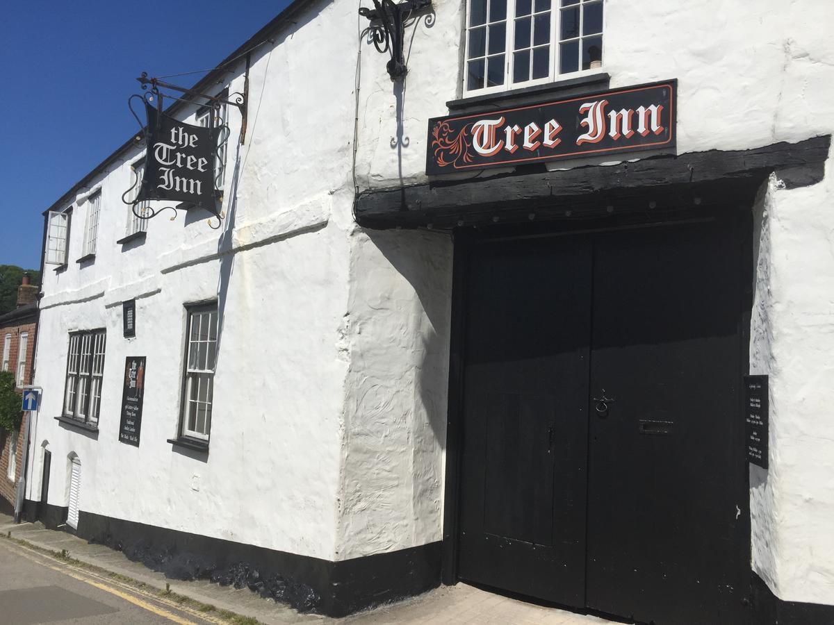 The Tree Inn Bude Zewnętrze zdjęcie