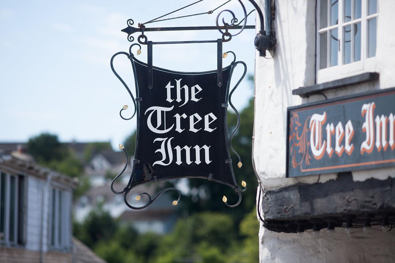 The Tree Inn Bude Zewnętrze zdjęcie