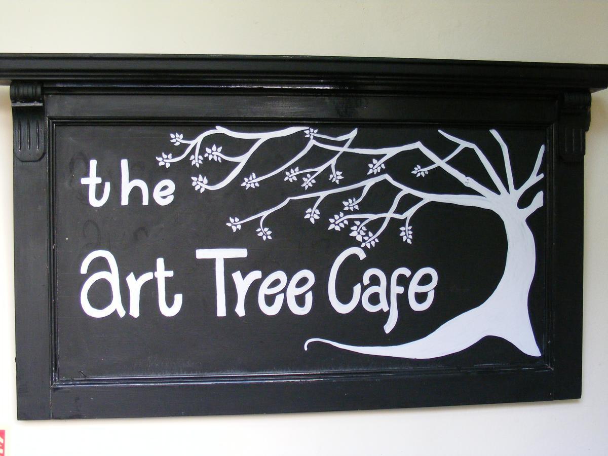 The Tree Inn Bude Zewnętrze zdjęcie
