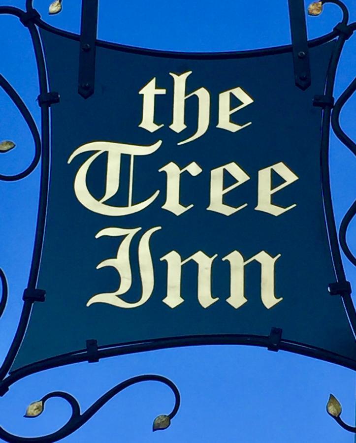 The Tree Inn Bude Zewnętrze zdjęcie